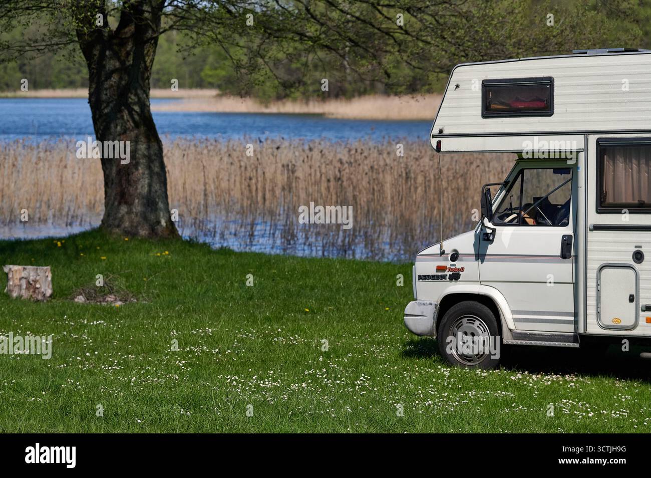 Vorderansicht eines Peugeot J5 Turbo D Campers, der an einem ruhigen See mit Schilf und Bäumen im Hintergrund bei weicher Mittagsbeleuchtung parkt, ideal für Stockfoto