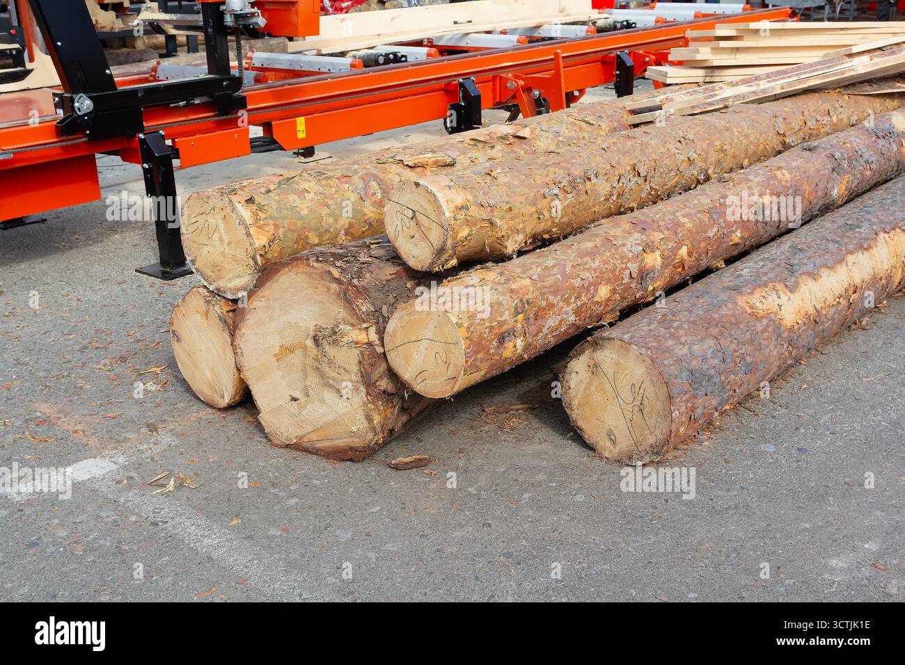 Baumstämme und Bretter in einem Sägewerk. Industrie Stockfoto