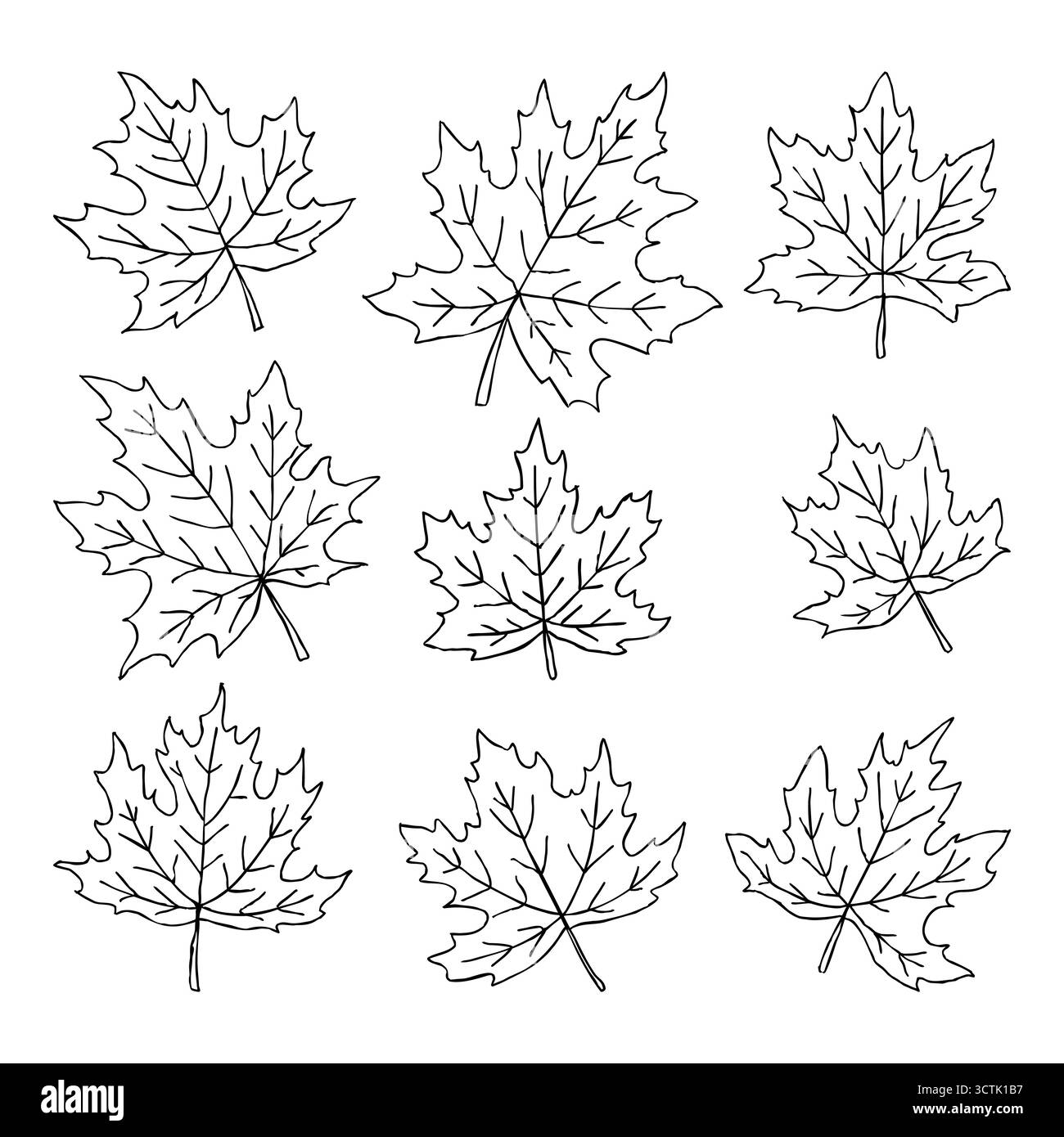 Schöne Reihe von Doodle Ahornblättern. Isolierte Skizze. Design Hintergrund Grußkarten und Einladungen zur Hochzeit, Geburtstag, Muttertag Stock Vektor