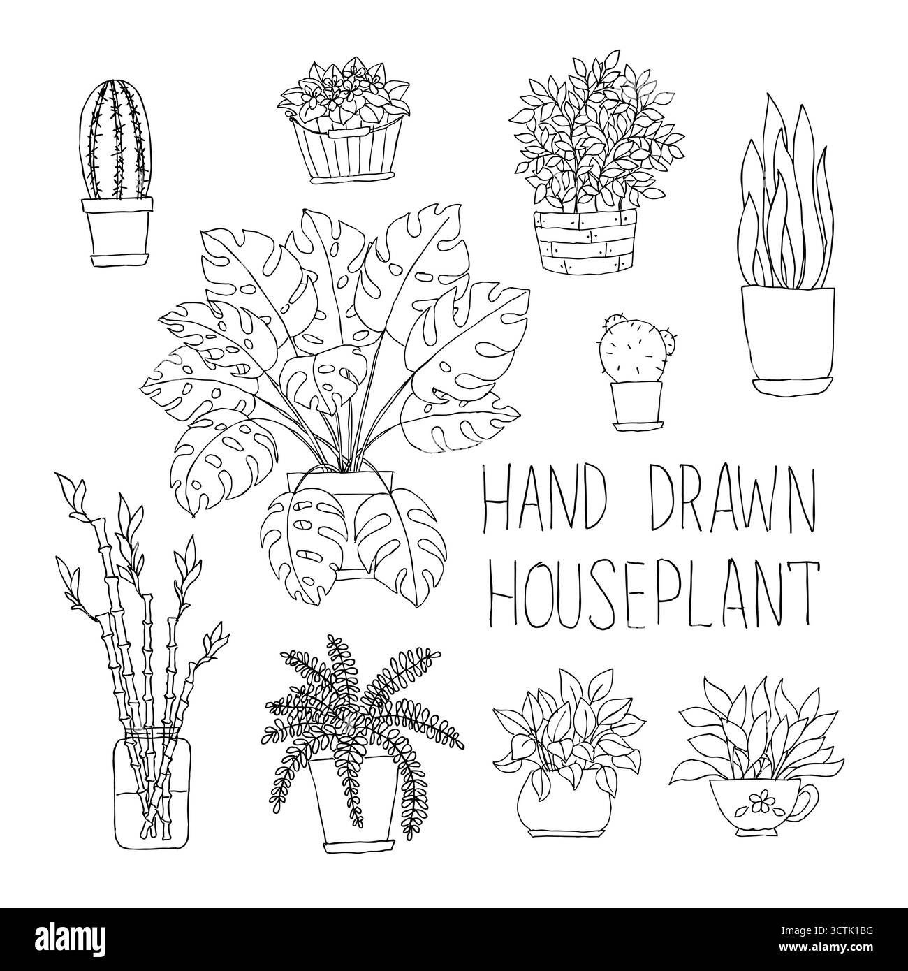 Großer Satz handgezeichneter Zimmerpflanzen Monstera, Bambus, Kakteen, Farn und andere kritzelnde Zimmerpflanzen in Blumentöpfen. Stock Vektor