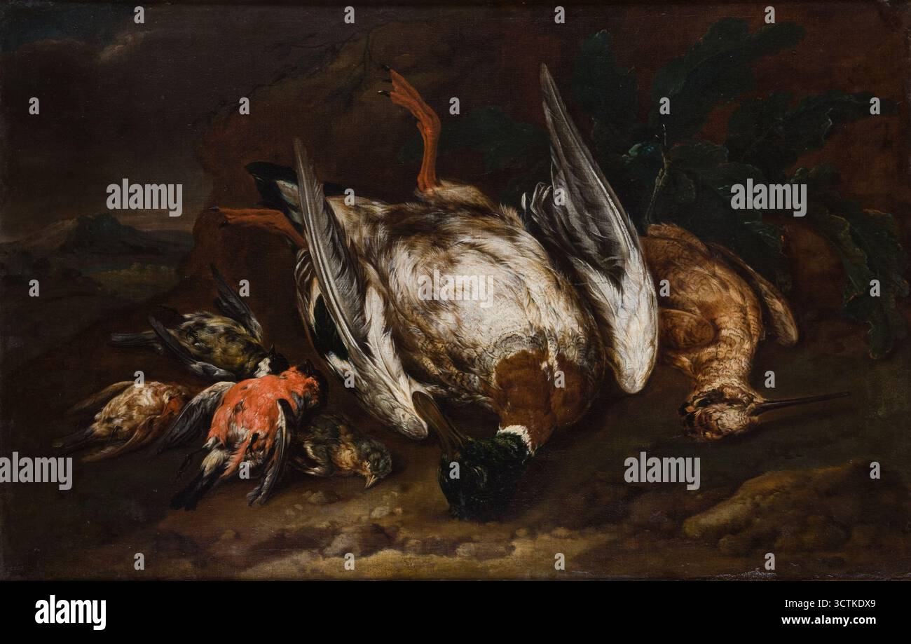 Geschlachtete Vögel zwischen 1663 und 1722. Das Gemälde zeigt gejagte Vögel auf dem Boden: In der Mitte eine große Ente, die stark von oben von links fallendem Licht beleuchtet wird; an den Seiten ein grau-brauner Holzhahn mit langem Schnabel und mehrere Vögel mit rotem Gefieder, ein essentieller Farbton, der im Kontrast zur gesamten Komposition steht, die von Grau und Braun dominiert wird. Stockfoto
