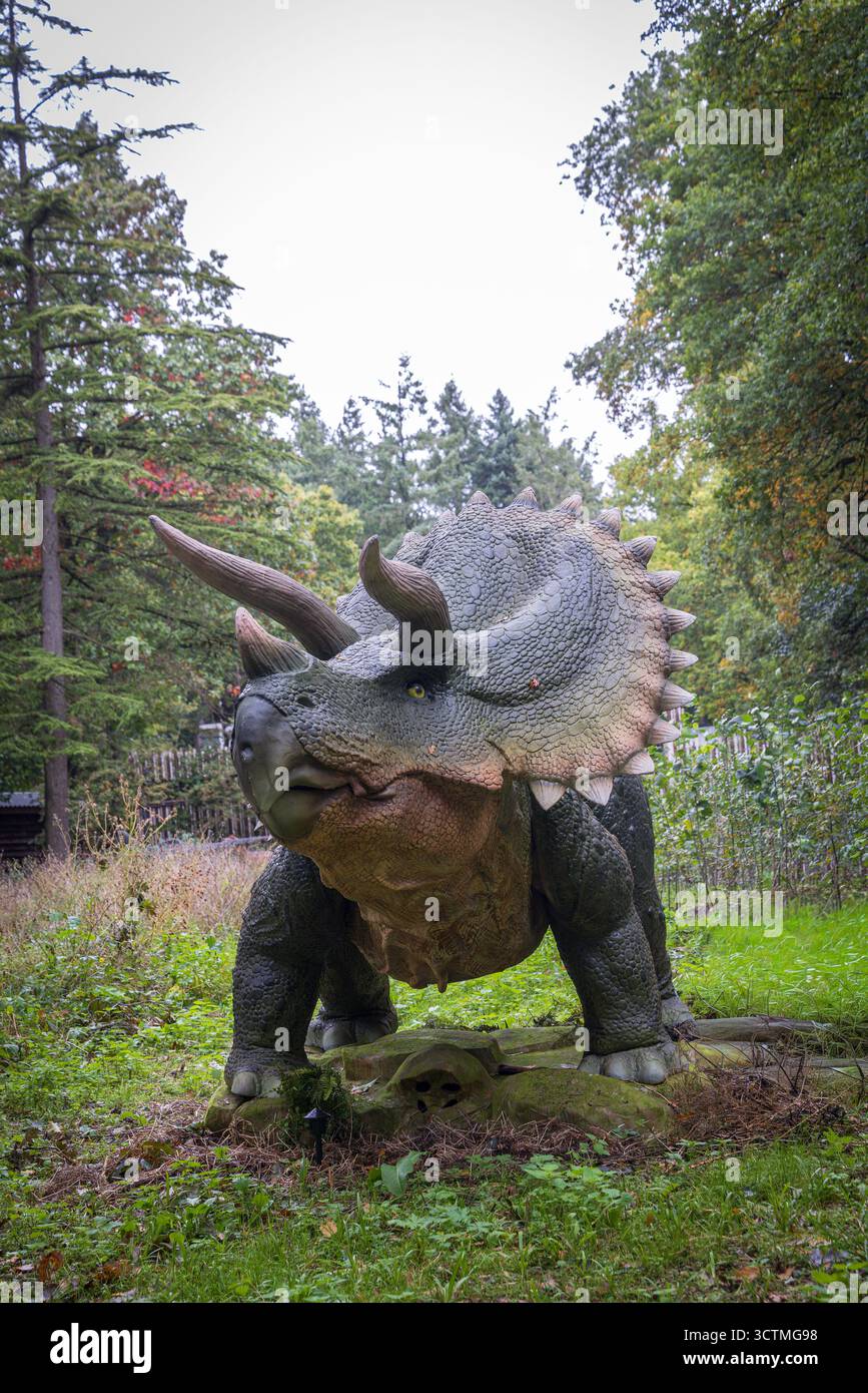 Arnhem, Niederlande - 5. Oktober 2025: Porträt eines Triceratops-Dinosauriers während einer Ausstellung im Freien. Stockfoto