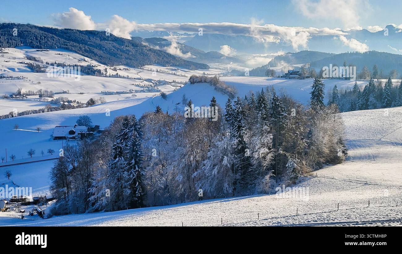 Winterlandschaft auf dem Land mit Schweizer Alpen im Hintergrund, schneebedeckten Feldern und verschneiten Wäldern an einem schönen sonnigen Wintertag Stockfoto