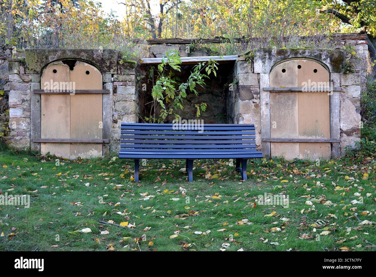 Verlassene Bank vor alten Kellertüren im Herbst Stockfoto