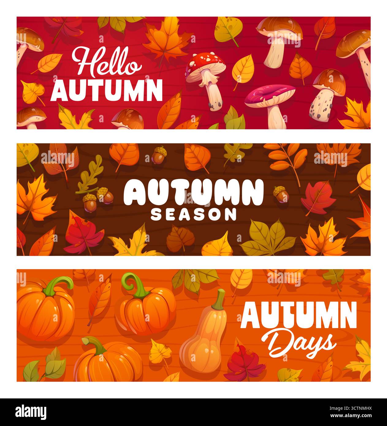 Hallo Herbst Banner mit fallenden Blättern, Beeren und Pilzen, Eicheln und Kürbissen. Zeichentrickvektor saisonale festliche horizontale Karten oder Header mit Herbsternte auf rustikalen hölzernen Hintergründen Stock Vektor