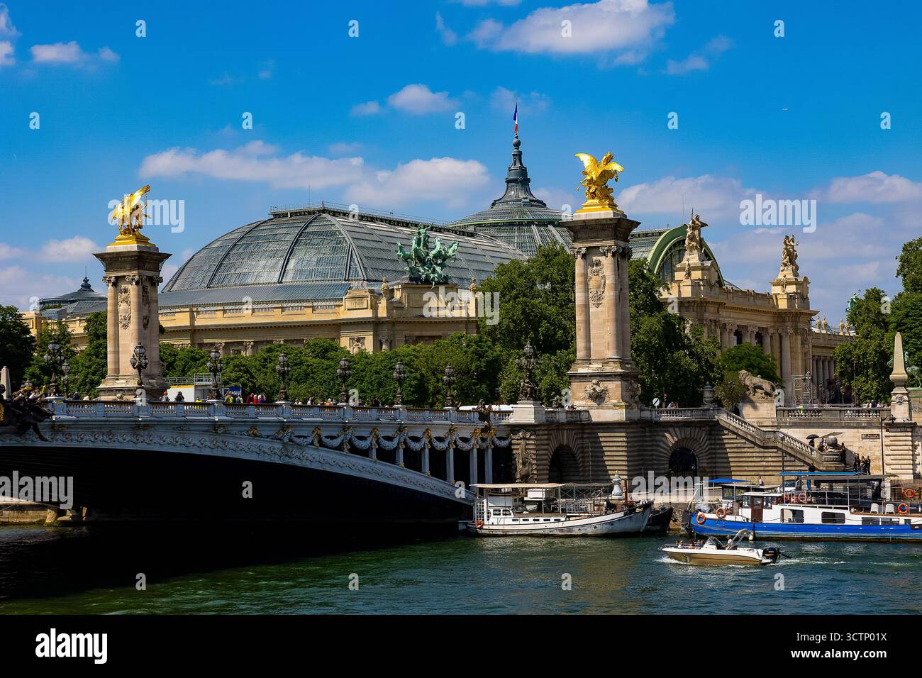 Brücke Pont Alexandre III über die seine und Grand Palais, Paris, Frankreich Stockfoto