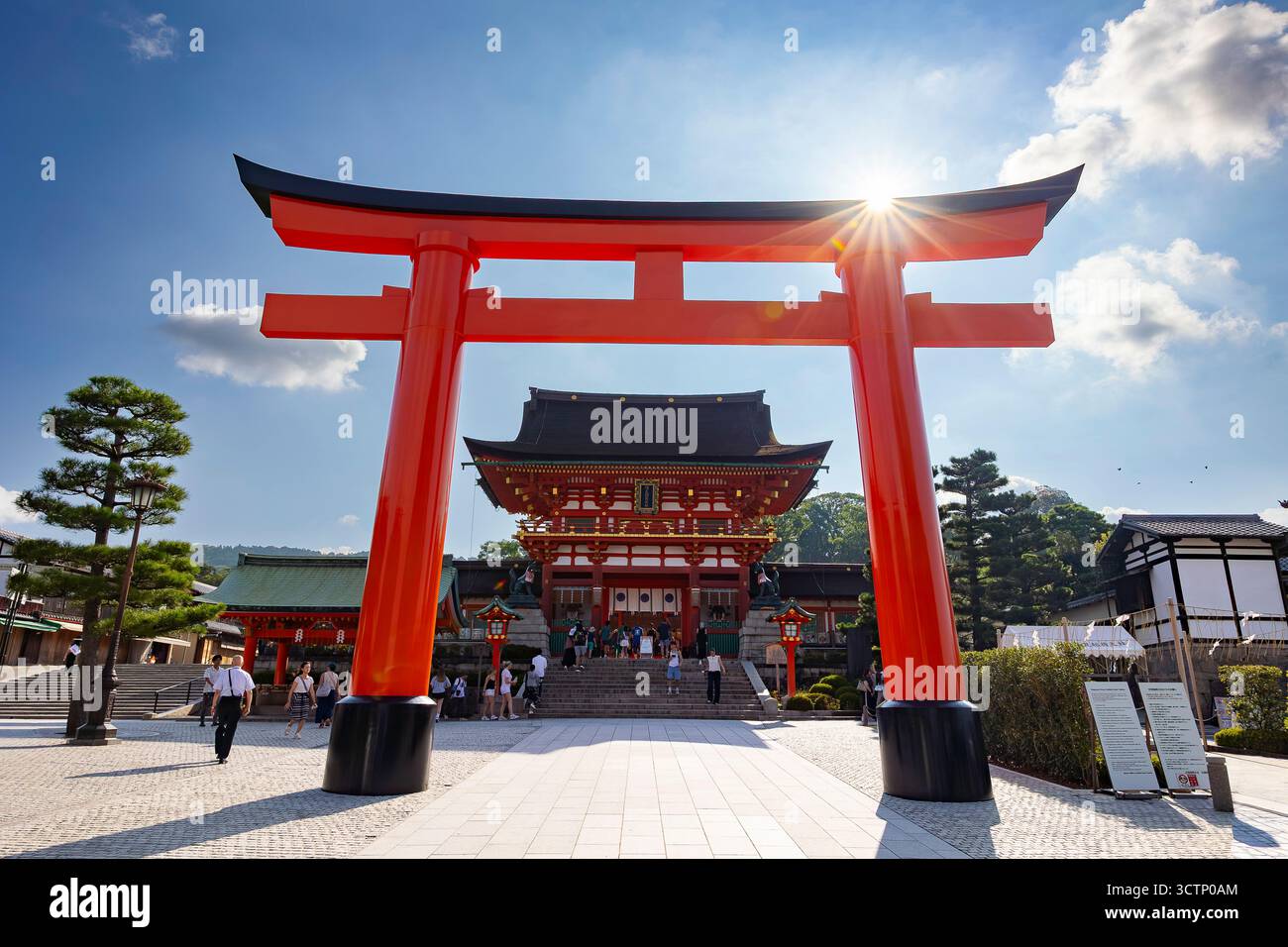 Fushimi Inari Taisha, Shinto-Schrein, Torii-Tore, Kyoto, Japan, Stockfoto