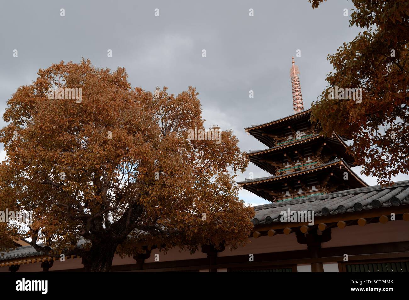 Die fünfstöckige Pagode des Shitennō-JI-Tempels in Osaka erhebt sich hinter braunen Bäumen Stockfoto