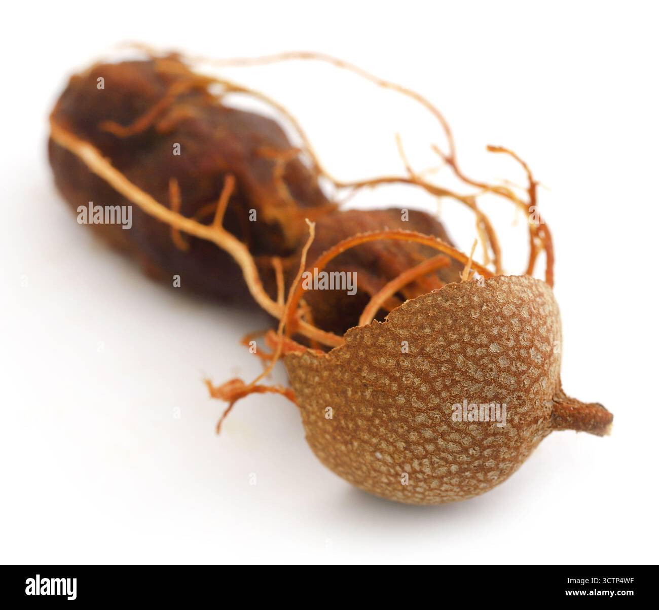 Süße Tamarinde ganz frisch und biologisch Stockfoto