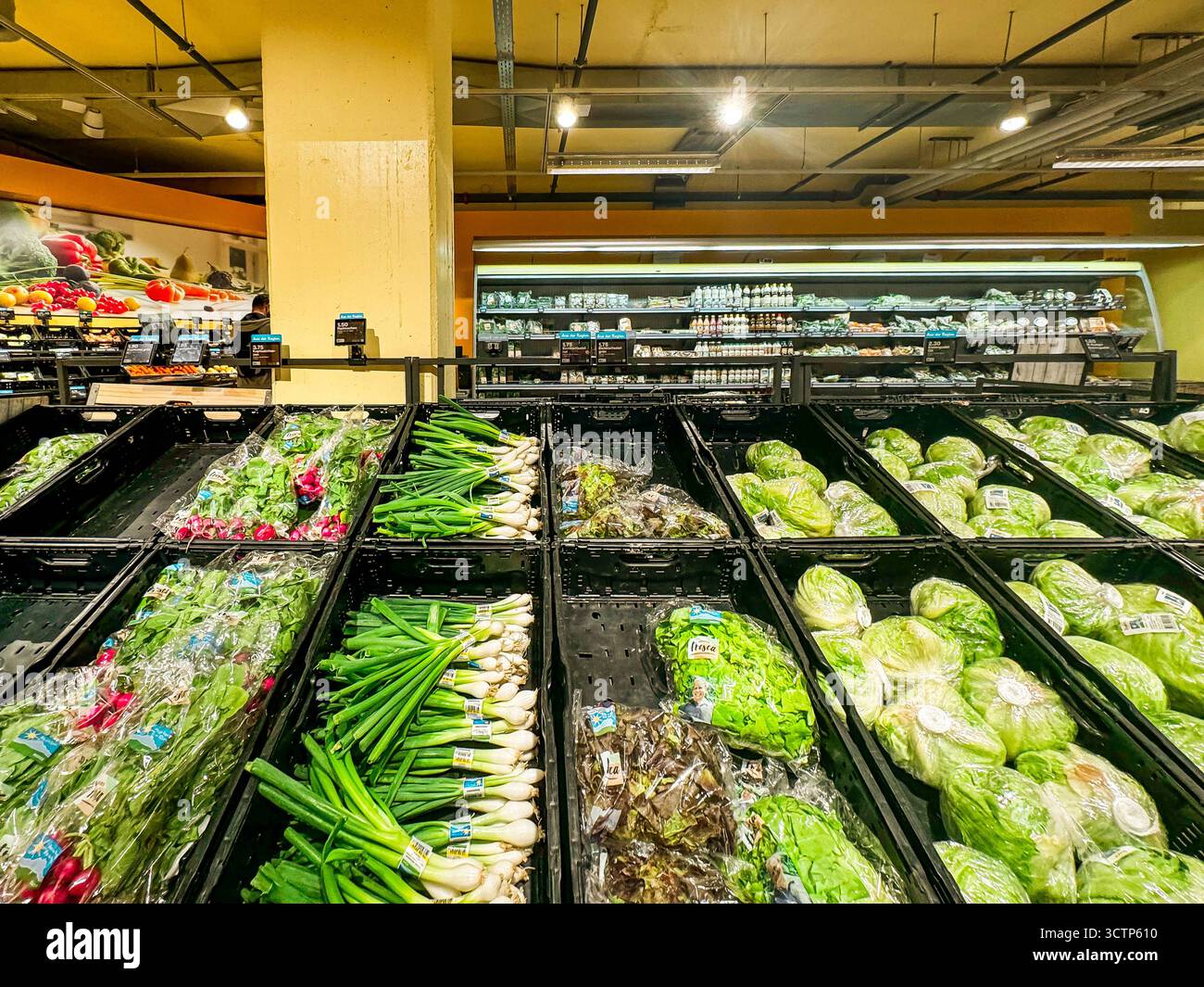 Supermarkt, Gemüseabteilung, grüner Salat, Lauchzwiebeln, verpacktes Gemüse, leere Kisten, frisch, regionale Produkte, Saisonalität, Konsumverhalten, Nachhaltigkeit, Inflation, steigende Lebensmittelpreise, Verpackungsmüll, Ressourcenschonung, Energiekrise, Lieferkettenprobleme, Gemüseknappheit, Preisbewusstsein, Ernährungstrends, Verbraucherunsicherheit, Klimaschutz, Agrarwirtschaft, Umweltbewusstsein, Preisschock, Einkaufserlebnis, Konsumkrise, regionale Versorgung, Lebensmittelverschwendung. *** Supermarkt, Gemüsebereich, grüne Salate, Frühlingszwiebeln, abgepacktes Gemüse, leere Kisten, Stockfoto