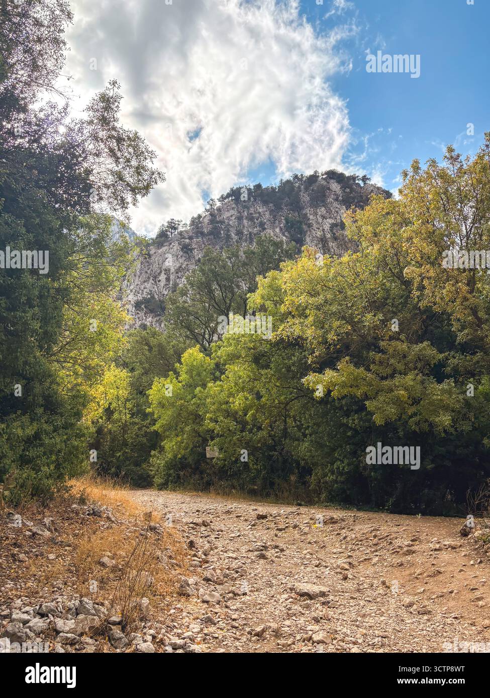 Schotterpfad, der in den Canyon führt, umgeben von dichtem grünen Wald Stockfoto