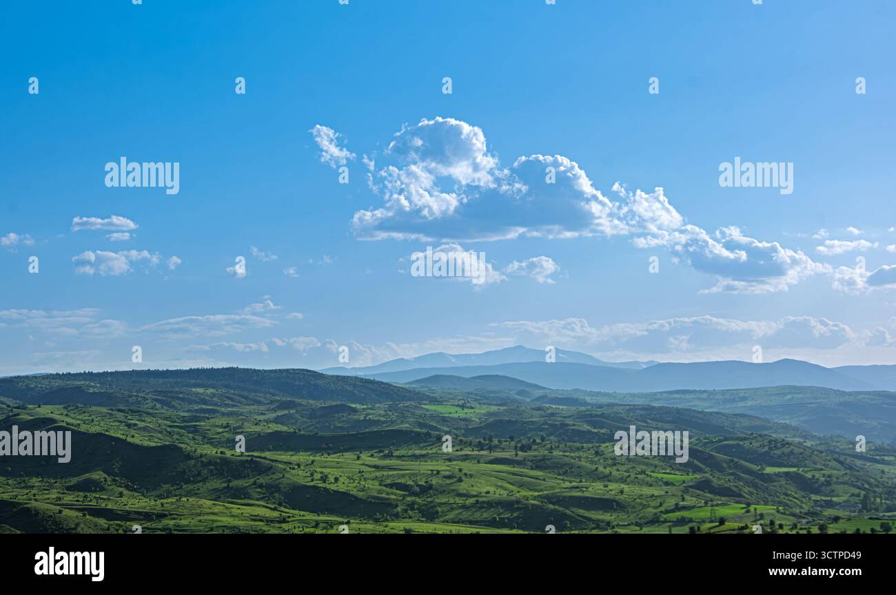 Grüne Hügel unter blauem Himmel mit Wolken. Panoramablick mit sanften grünen Hügeln, die sich bis in die Ferne erstrecken, unter einem hellblauen Himmel verstreut Stockfoto