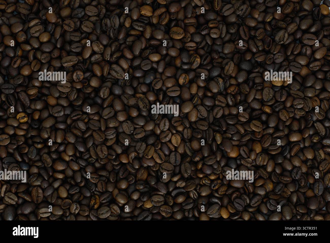 Nahtextur gerösteter Kaffeebohnen. Dunkelbrauner Hintergrund aus aromatischen Kaffeesamen, Draufsicht. Stockfoto