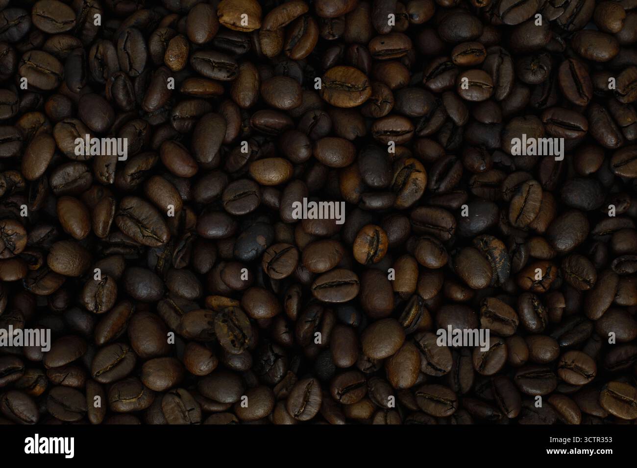 Nahtextur gerösteter Kaffeebohnen. Dunkelbrauner Hintergrund aus aromatischen Kaffeesamen, Draufsicht. Stockfoto