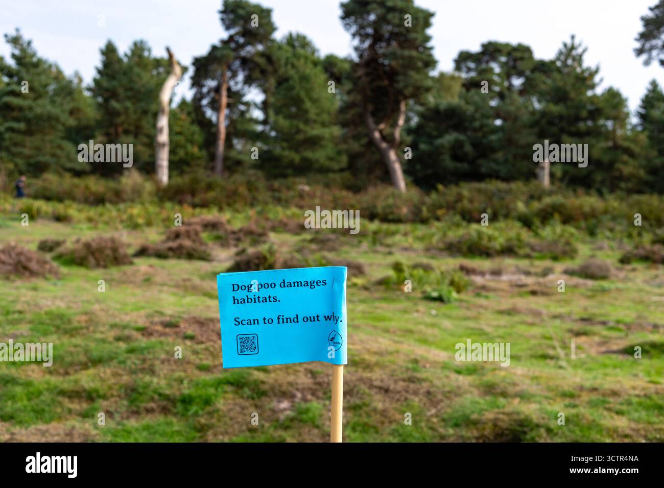 Hundekot beschädigt Lebensräume, eine Kampagne von Wildlife Wise Stockfoto