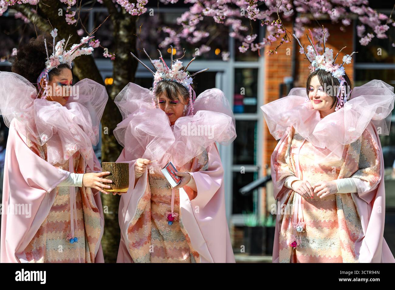 Cherry Blossom Day am Oozells Square am Brindleyplace Birmingham West Midlands für die blühende Tagundnachtgleiche am 20. März 2025 in Birmingham Stockfoto