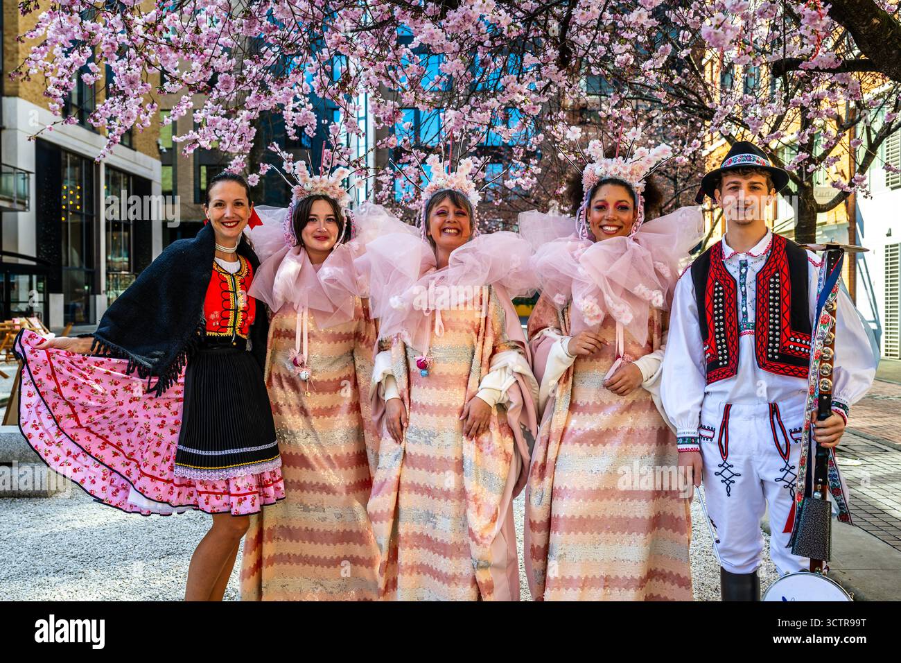 Cherry Blossom Day am Oozells Square am Brindleyplace Birmingham West Midlands für die blühende Tagundnachtgleiche am 20. März 2025 in Birmingham Stockfoto