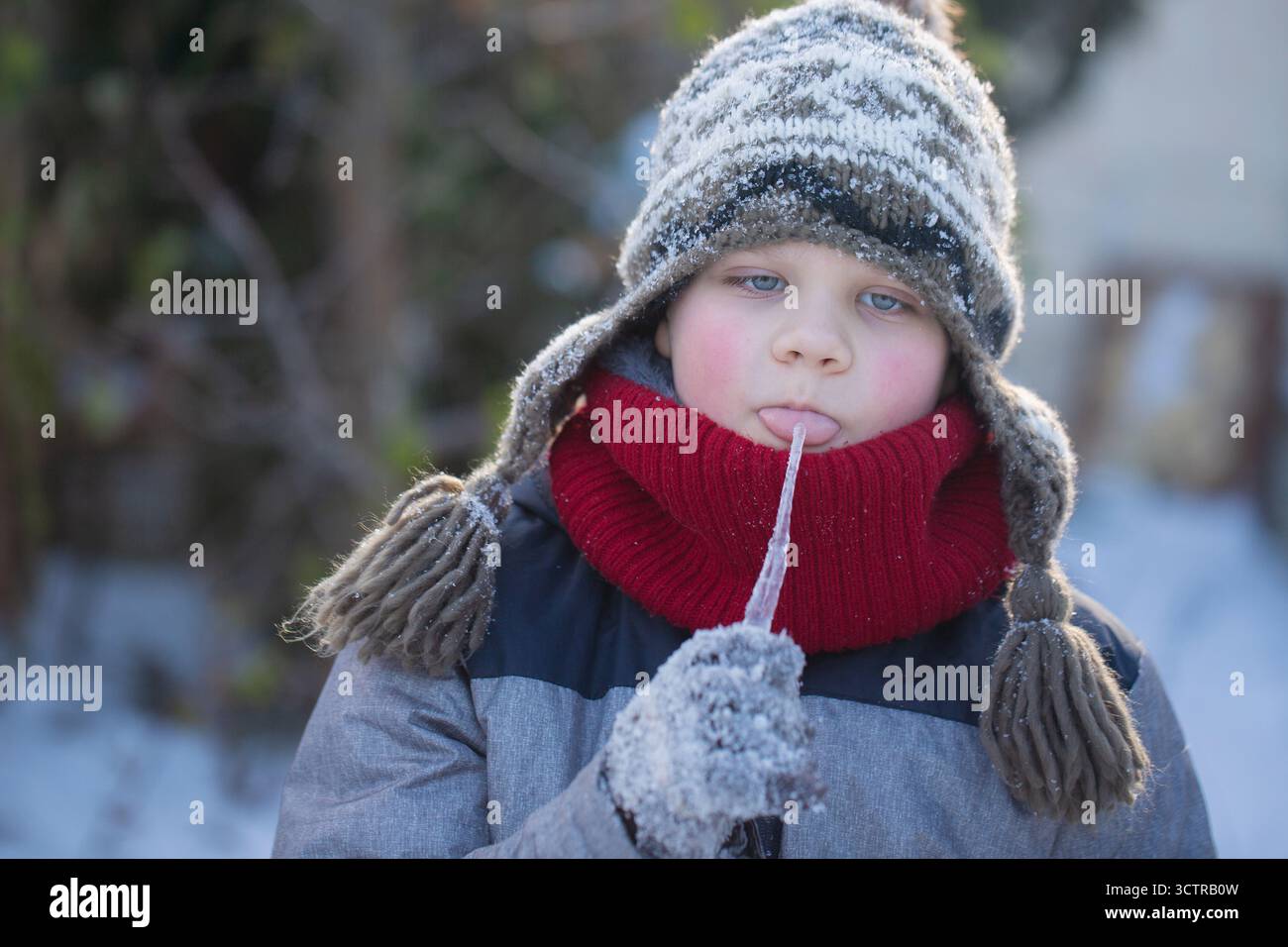 Junge in Wintermütze und rotem Schal leckt draußen einen Eiszapfen, zeigt spielerische Neugier und kindliches Staunen. Stockfoto