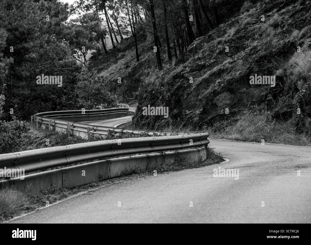 Gewundene Bergstraße in Schwarz-weiß – Serpentine durch Wald und Felsen in Moody monochrome Landschaft Stockfoto