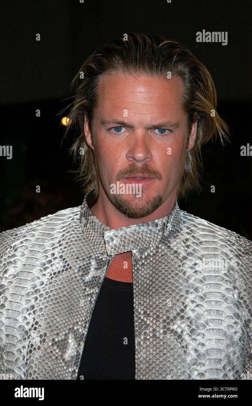 Matt Schulze bei der Torque Premiere in L.A. - 14.01/04 Stockfoto