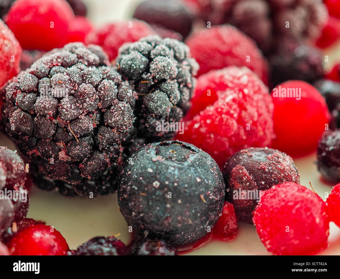 Farbenfrohe Auswahl gefrorener Beeren, darunter Brombeeren, Himbeeren und Heidelbeeren, verstreut auf einer hellen Oberfläche, die ihre reichhaltige Mischung unterstreicht Stockfoto