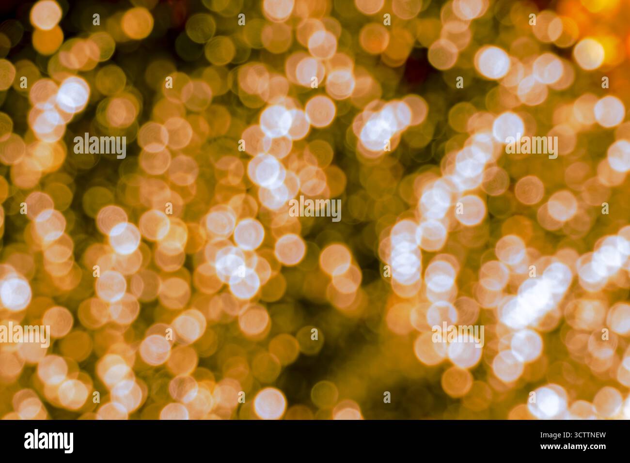 Unschärfe oranges Bokeh – dichtes Feld mit kleinen warmen leuchtenden Kugeln vor dunklem/schwarzem Hintergrund. Ein reichhaltiger, abstrakter, unscharfer Hintergrund, der perfekt für Hintergrundbilder ist Stockfoto