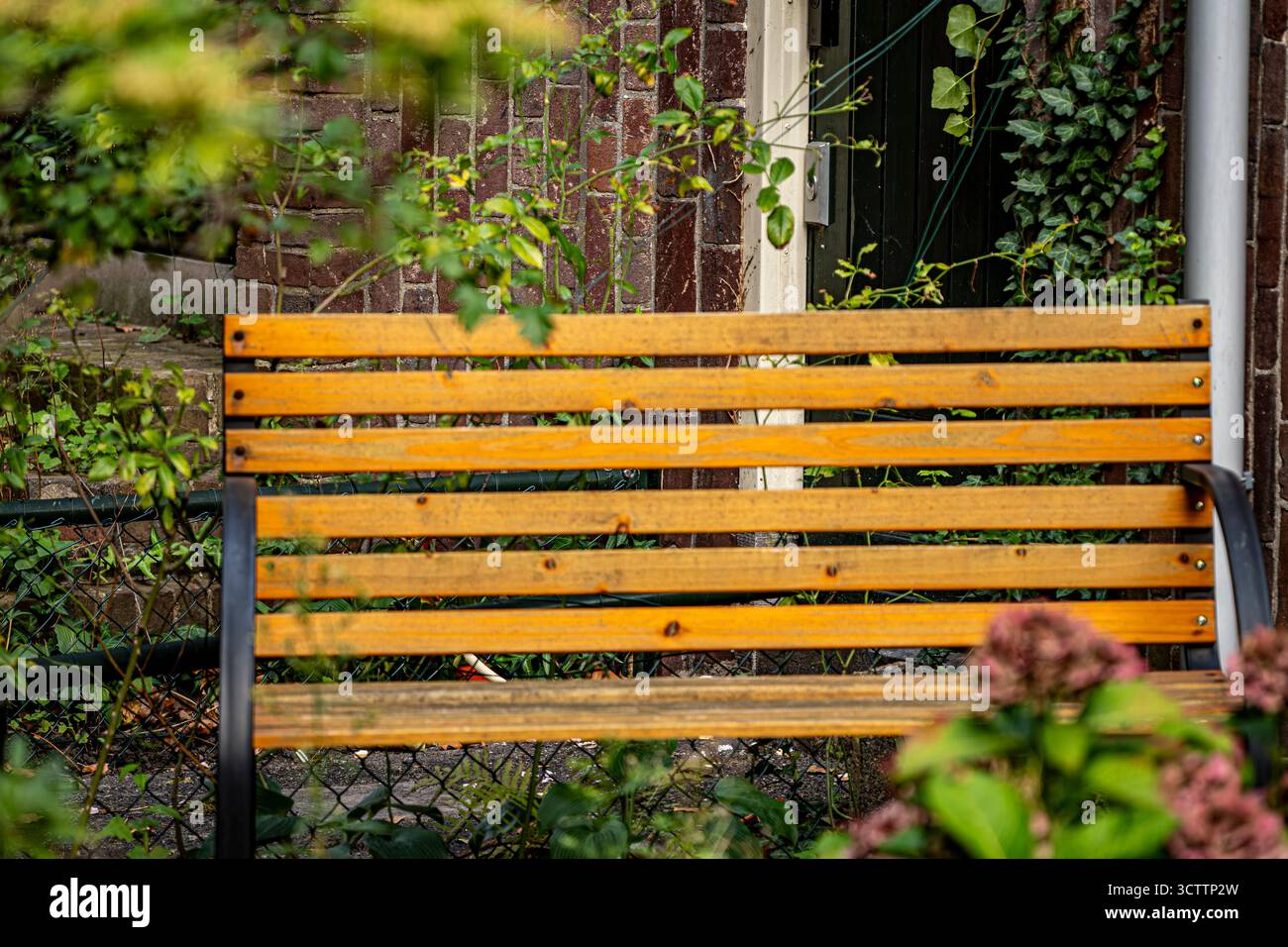 Leere Holzbank im Autumn Park – friedliche Herbstszene Stockfoto