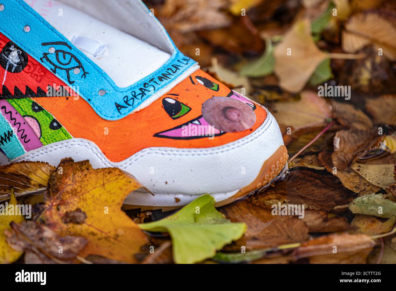 Gemalter Sneaker mit Augen und Mund zwischen herbstgelben trockenen Blättern, verlassener farbenfroher Schuh, Seitenansicht Stockfoto Gemalter Sneaker mit Augen und Mund zwischen herbstgelben trockenen Blättern, verlassener farbenfroher Schuh, Seitenansicht Stockfoto