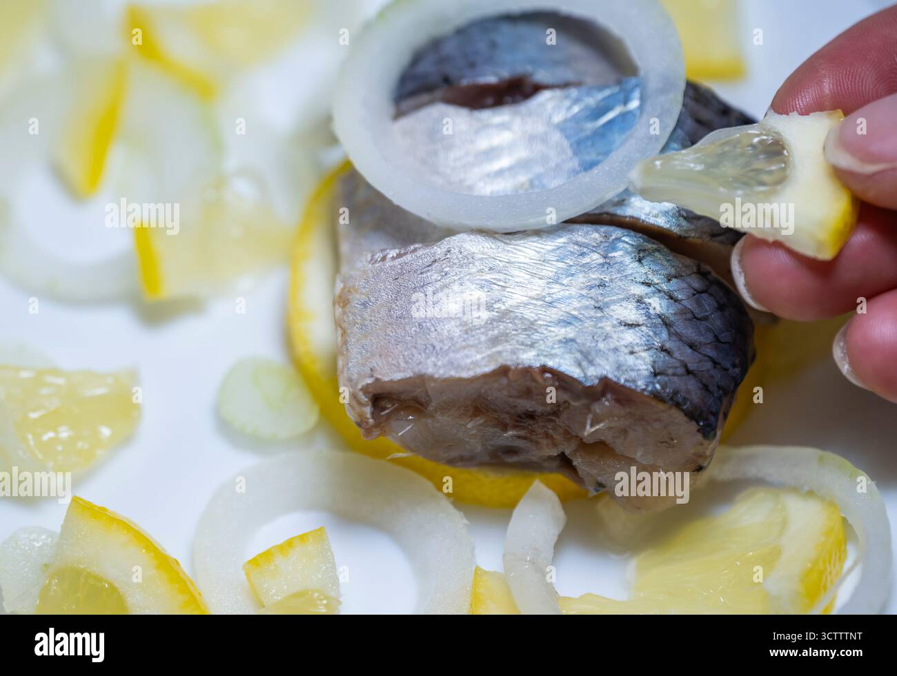 Hand halten ein Stück saftigen pazifischen Herings, tropfenden Zitronensaft über weiße Teller mit Zwiebelringen und Zitronenscheiben, Meeresfrüchtegericht aus nächster Nähe Stockfoto