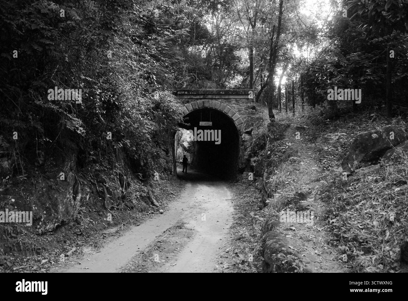 Sumidoro, Rio de Janeiro, Brasilien, 17. März 2025. Murineli Tunnel, in den Bergen in der Gemeinde Sumidoro, im Bundesstaat Rio de J. Stockfoto