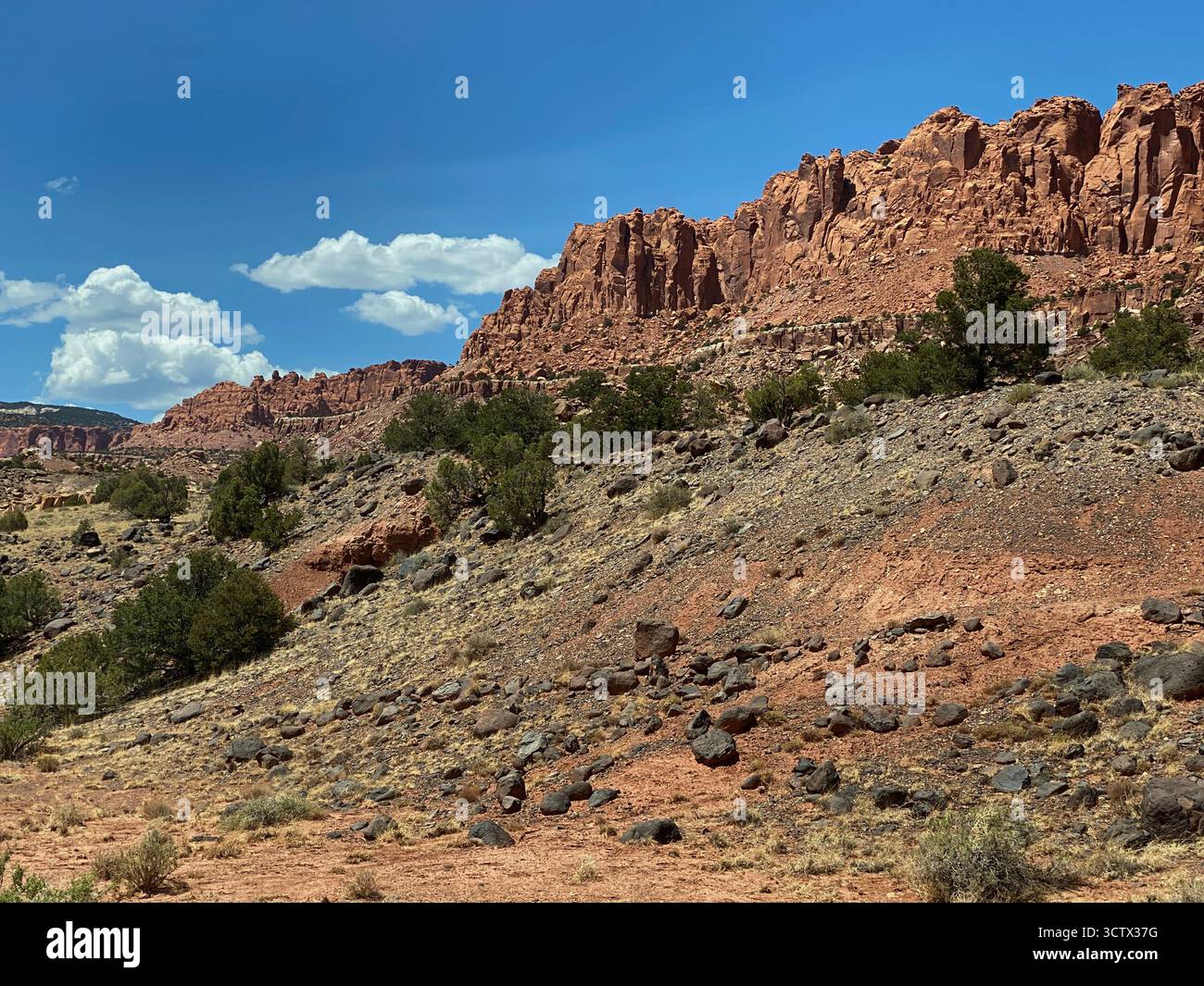 Eine riesige Landschaft mit roten Sandsteinbergen mit Buschbürsten im Vordergrund in Torrey, Utah, USA Stockfoto