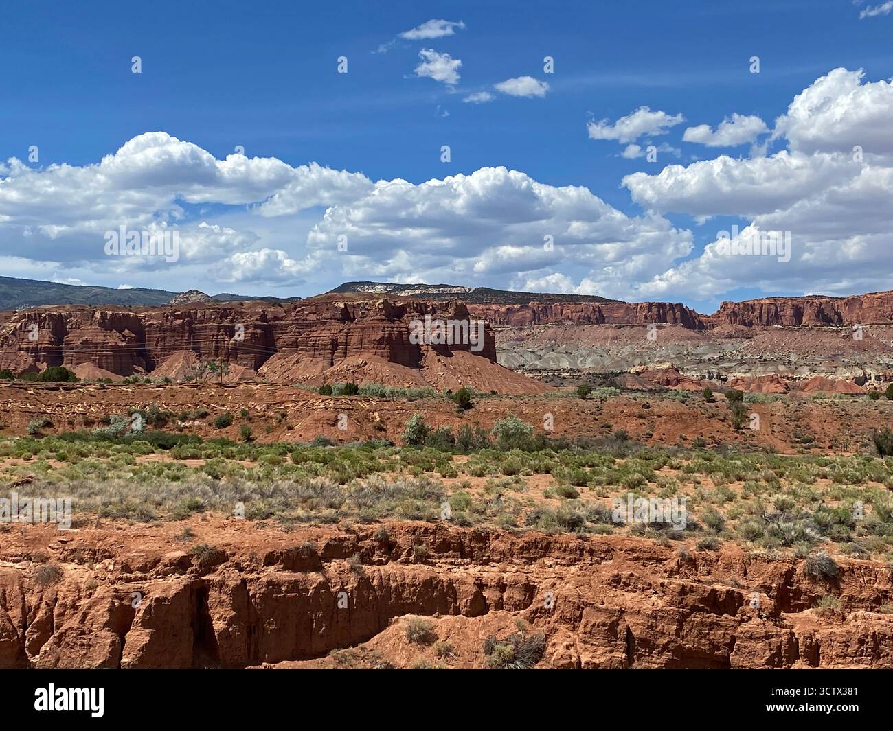 Eine riesige Landschaft mit roten Sandsteinbergen und Mesas mit Buschbürsten im Vordergrund in Torrey, Utah, USA Stockfoto