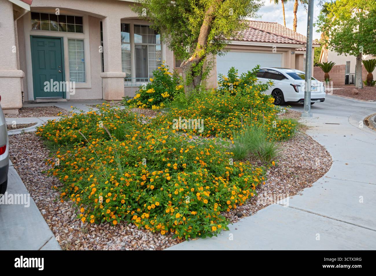 Las Vegas, Nevada – der Wasserbezirk Las Vegas Valley hat die Nutzung des knappen Wassers im Colorado River in den letzten 20 Jahren trotz eines um mehr als 30 % gesenkt Stockfoto