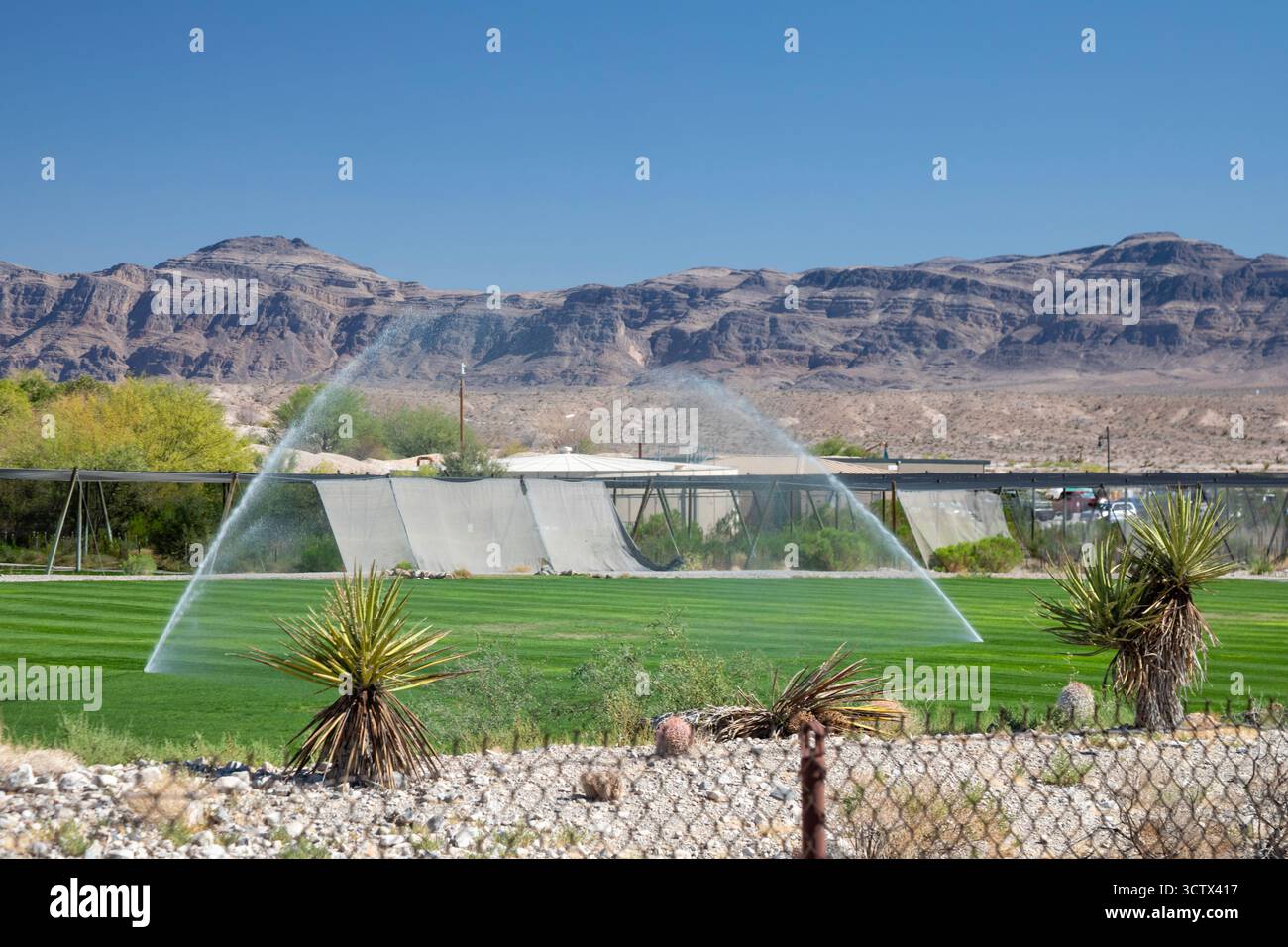 Coyote Ssprings - der Golfplatz von Coyote Springs in der Wüste Nevada. Der von Jack Nicklaus entworfene Kurs sollte ursprünglich von einem geplanten Platz umgeben werden Stockfoto
