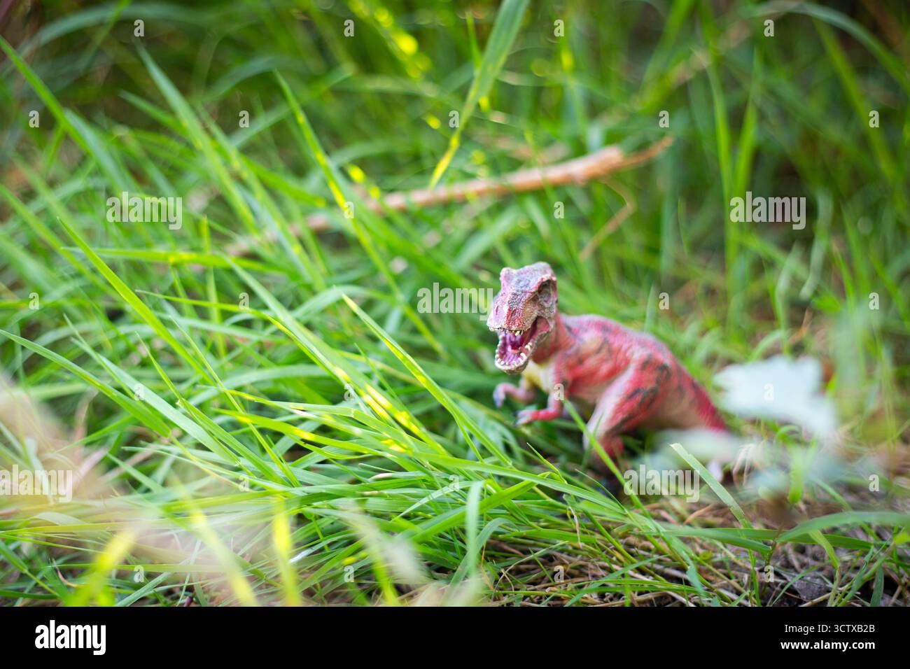 Miniatur-Dinosaurierspielzeug tyrannosaurus rex in natürlicher Umgebung mit grünem Gras. Hintergrund mit Kopierraum. Stockfoto