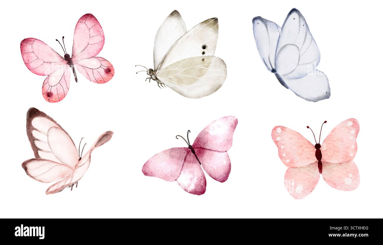 Weiche Aquarellillustration von Pastellschmetterlingen mit transparenten Flügeln. Sanftes, natürliches Design, perfekt für Federkarten, Textildrucke, Wandbilder, p Stockfoto