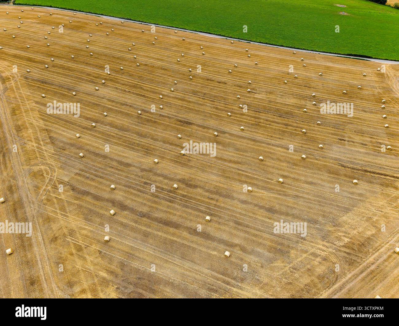 Drohnenansicht von runden Heuballen auf einem geernteten Feld im ländlichen Kent, England Stockfoto