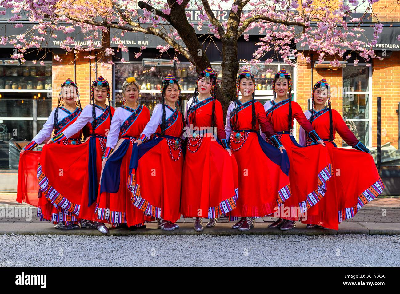 Cherry Blossom Day am Oozells Square am Brindleyplace Birmingham West Midlands für die blühende Tagundnachtgleiche am 20. März 2025 in Birmingham Stockfoto