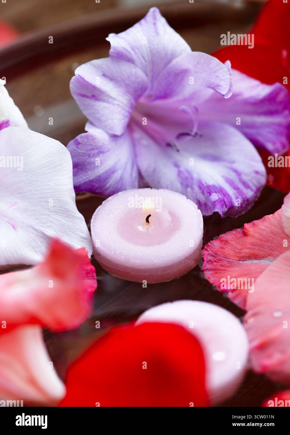 Zarte Gladiolenblätter in mehreren Farben schweben in einer Schüssel mit Wasser mit Teelichtern. Dekorative Mischung aus Eleganz, Natur und Ruhe Stockfoto