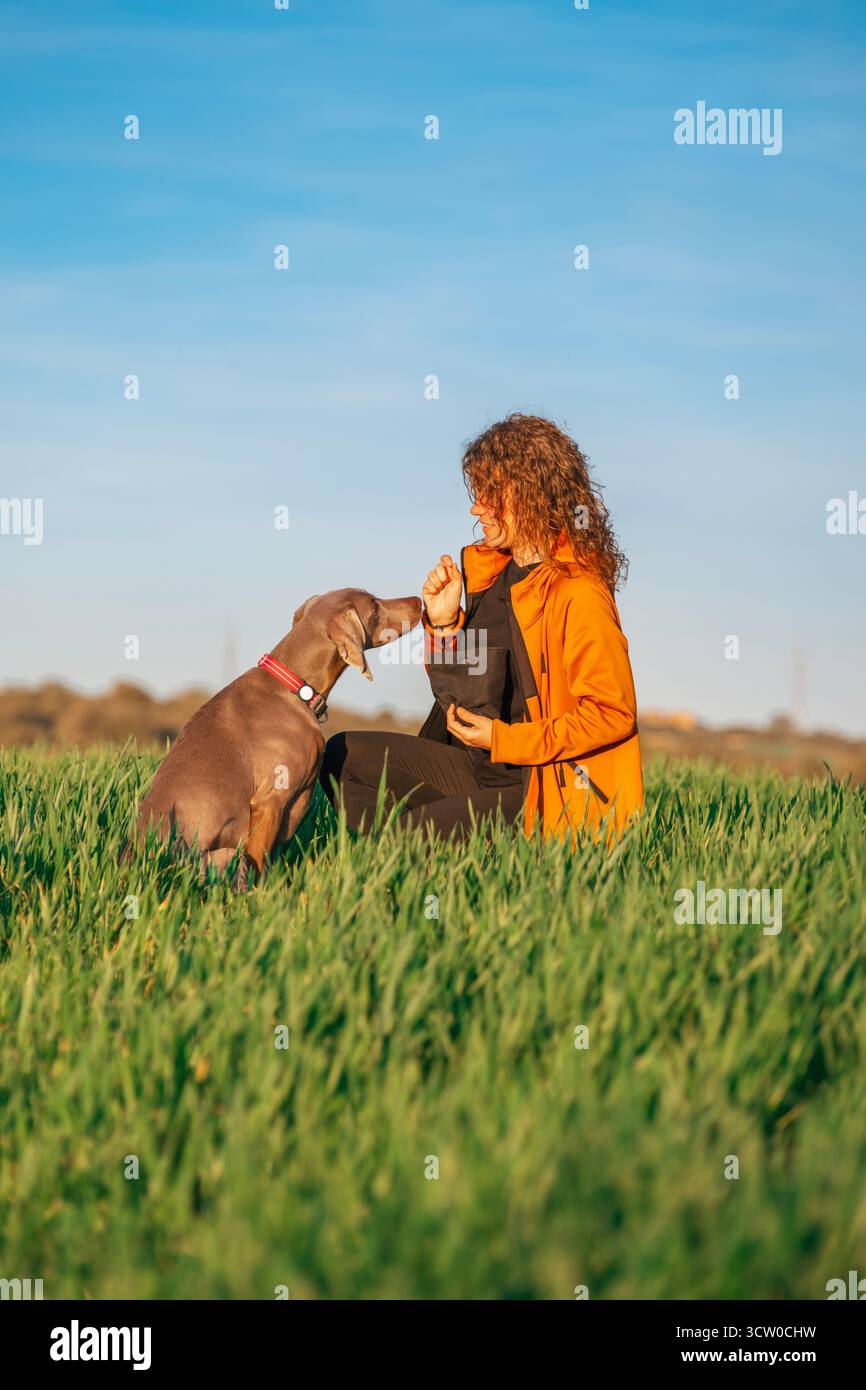 Eine junge Frau kniet auf einem grünen Feld, um ihrem Weimaranerhund etwas zu schenken, was die enge Verbundenheit und das erfolgreiche positive Training unterstreicht Stockfoto