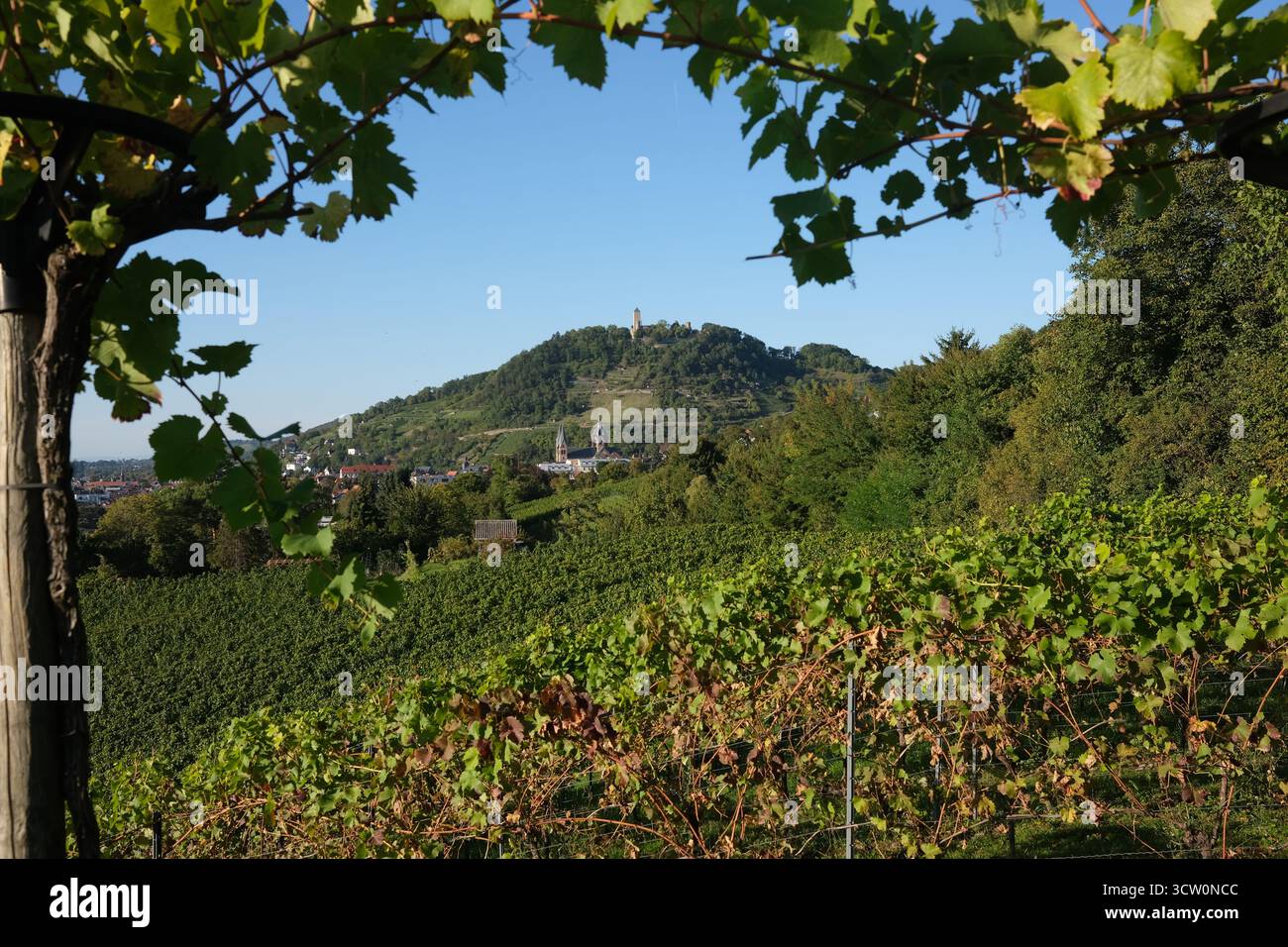 Deutsche Weinberge in Heppenheim in Deutschland Stockfoto