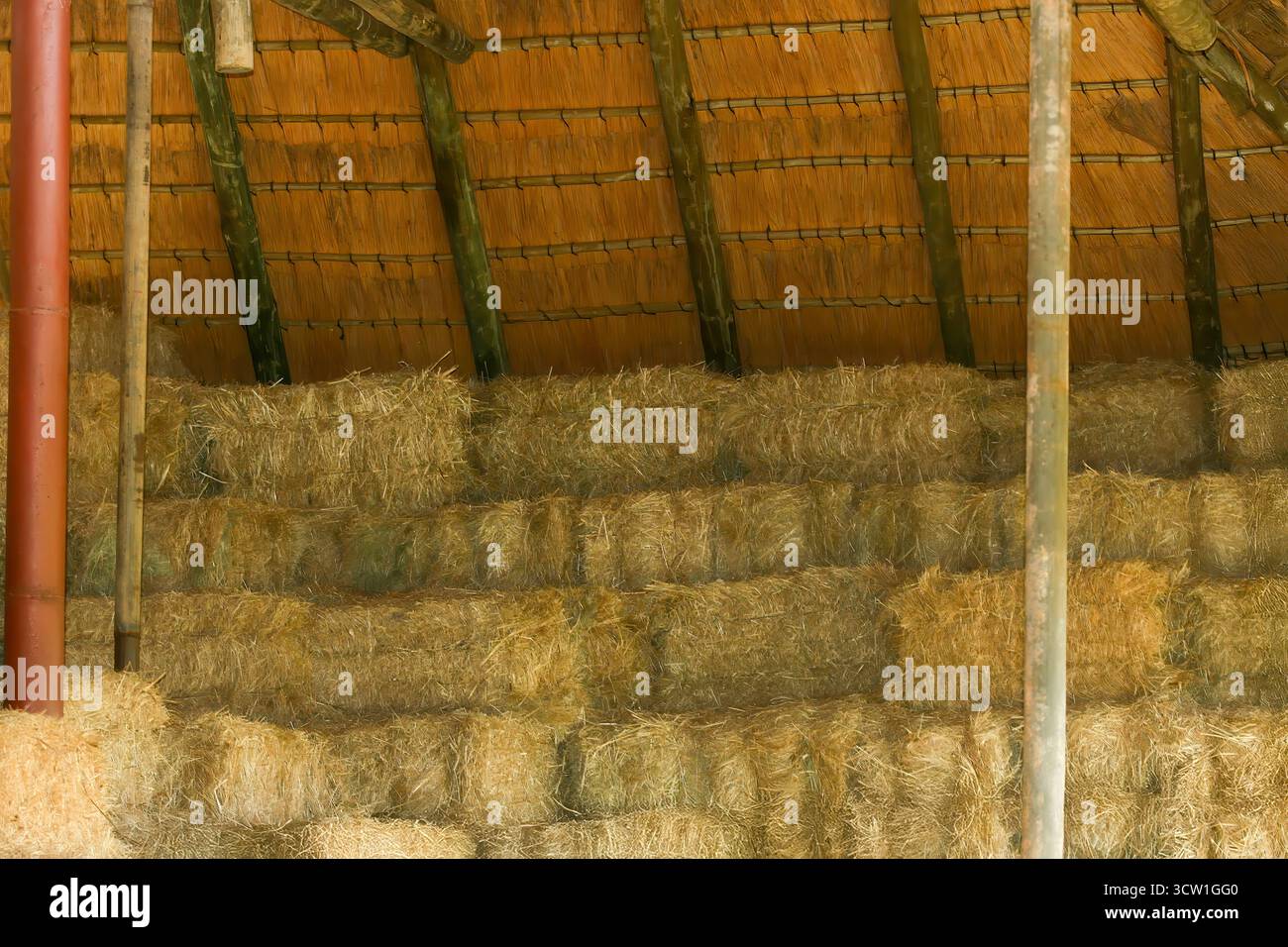 luzerne Ballen, Gerste Strohballen oben stapelbar, weiches Gras, richtige Heulagerung drinnen in der Scheune unter dem Schatten Stockfoto