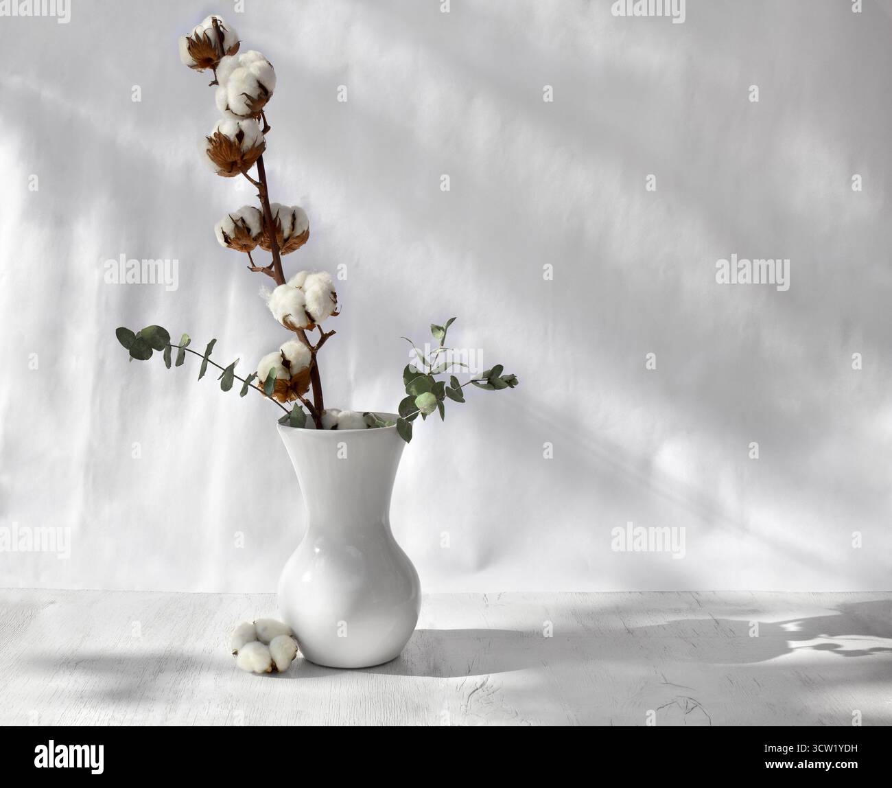 Blumenstrauß aus weißer Baumwolle mit grünen Eukalyptusblättern und Zweigen in Porzellan-weißer Vase auf einem weißen Tisch mit Platz für Text Stockfoto