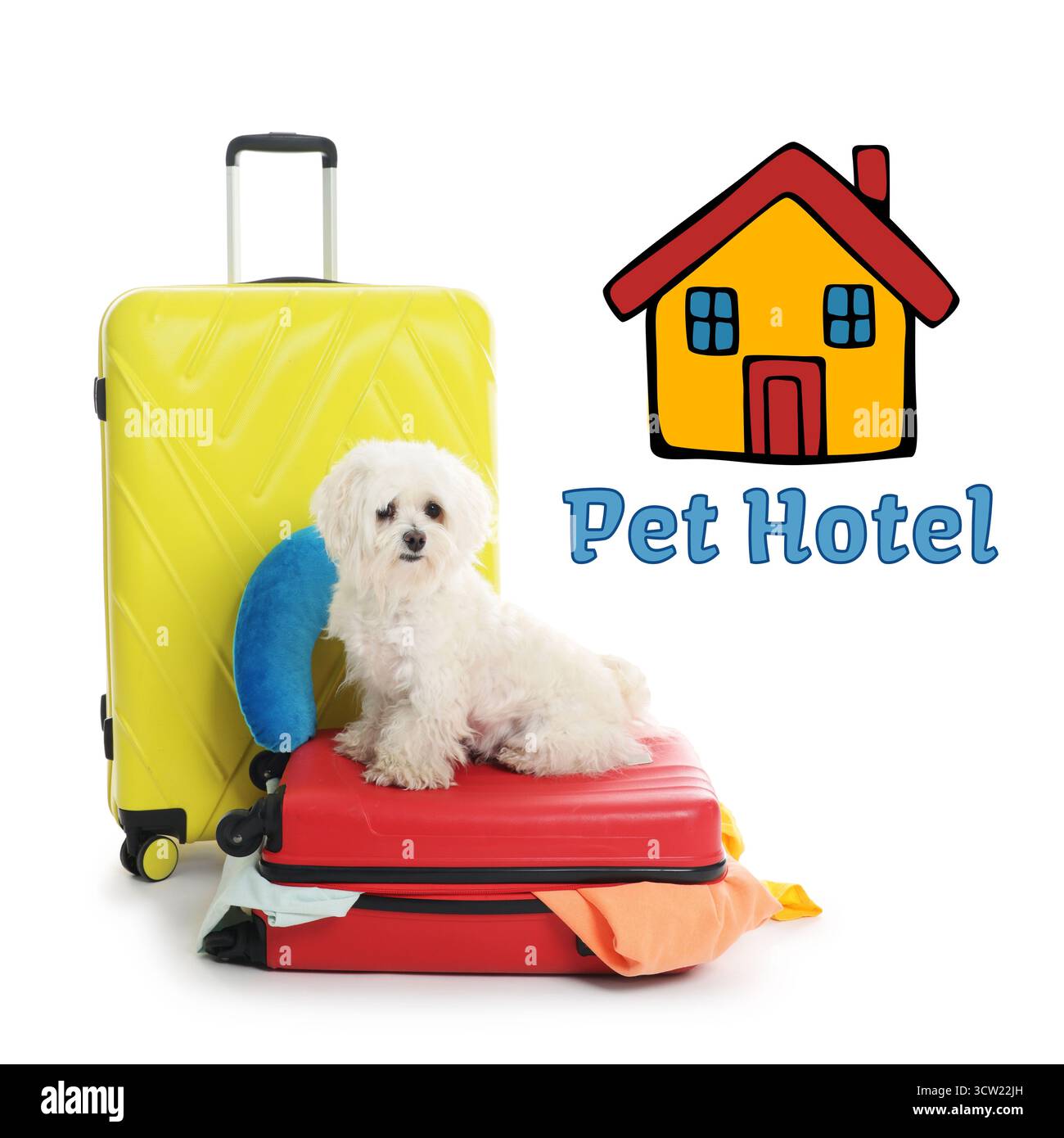 Haustierhotel. Niedlicher maltesischer Hund und Koffer vor weißem Hintergrund Stockfoto