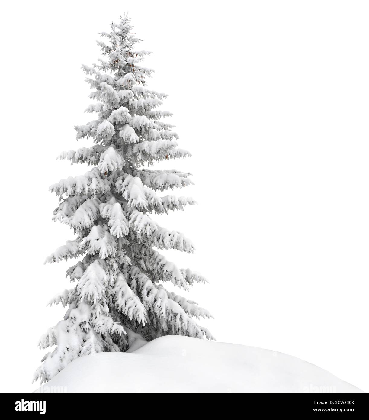 Tannenbaumschnee auf weißem Hintergrund. Weihnachtsbaum im Schnee Stockfoto