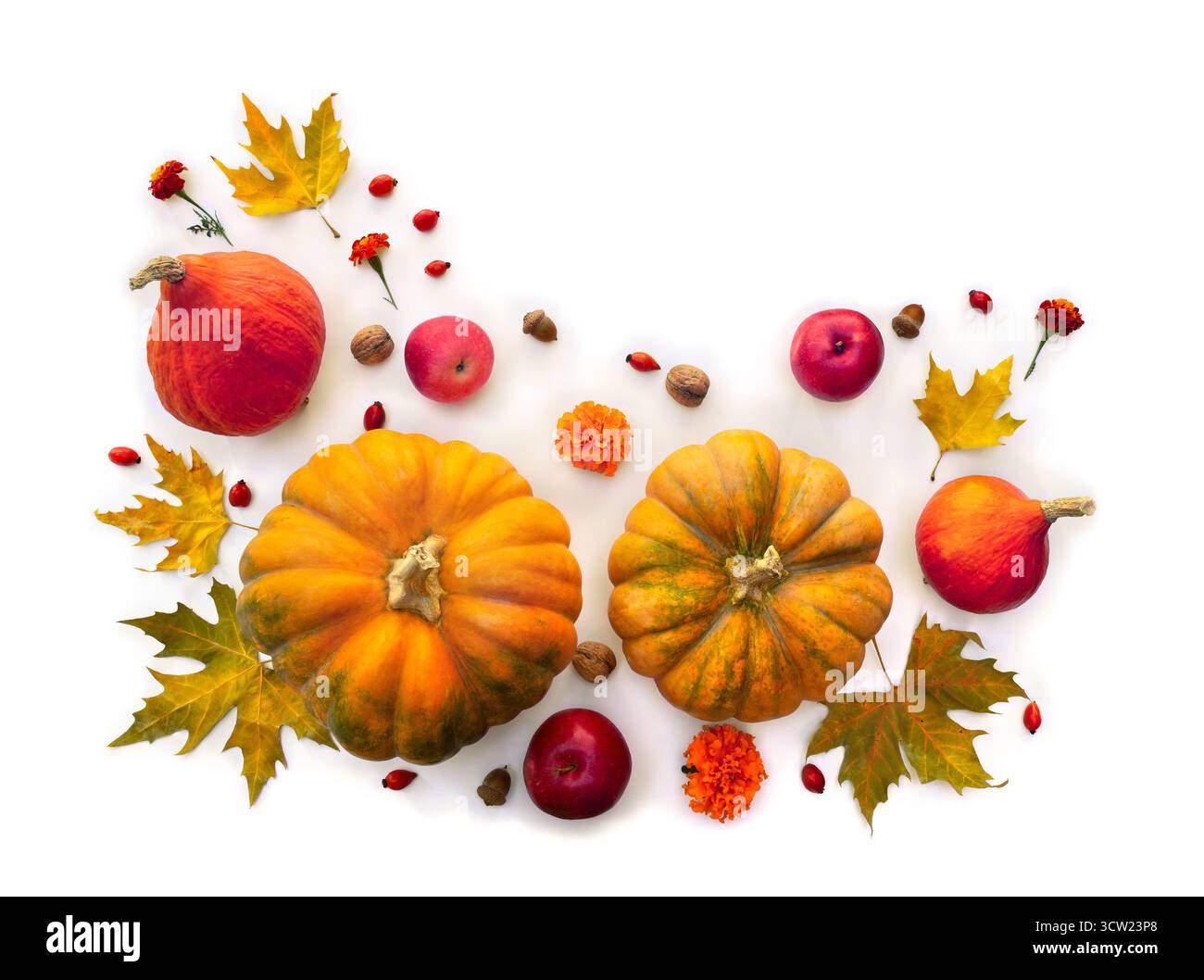 Kürbis, Eicheln, rote Beeren, rote Äpfel, gelbe Birne und herbstliche bunte Ahornblätter auf weißem Hintergrund. Draufsicht, flach Stockfoto