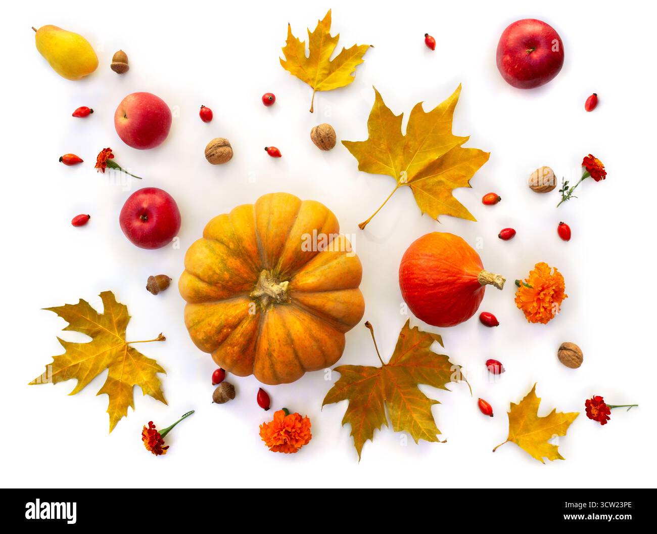 Kürbis, Eicheln, rote Beeren, rote Äpfel, gelbe Birne und herbstliche bunte Ahornblätter auf weißem Hintergrund. Draufsicht, flach Stockfoto