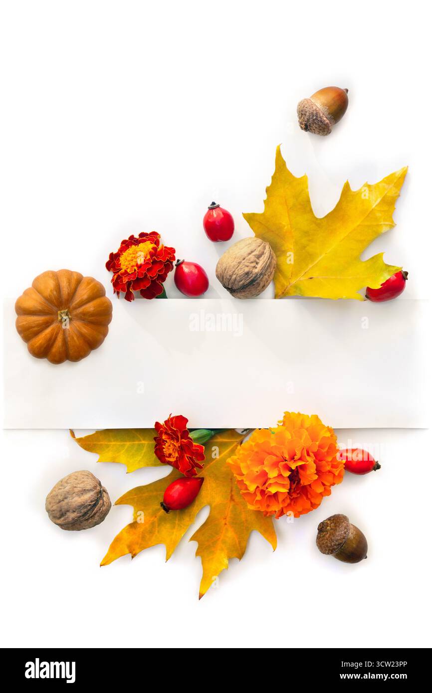 Kürbis, Eicheln, rote Beeren und herbstliche bunte Ahornblätter mit weißer Papierkarte mit Platz für Text auf weißem Hintergrund Stockfoto