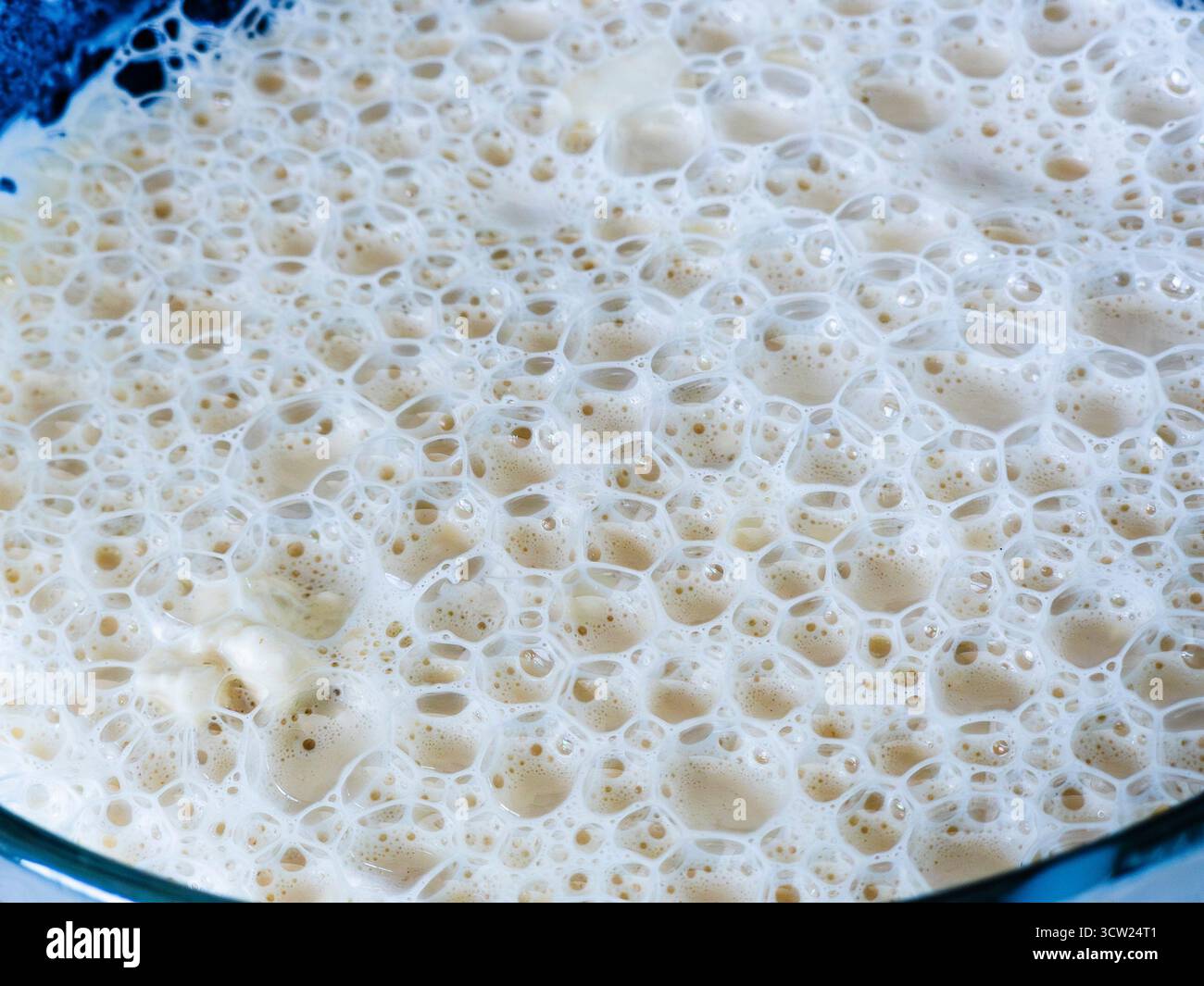 Gelblich-weiße schaumige Mischung, die eine Schüssel mit unzähligen Blasen unterschiedlicher Größen und Texturen füllt, die den aktiven Fermentationsprozess einer Hefe zeigen Stockfoto