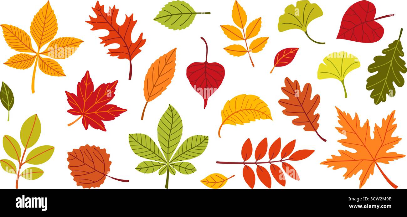 Herbstlaub gesetzt. Verschiedene Blätter. aspen, Ginkgo, Ahorn, Eiche und andere Bäume. Handgezeichneter trendiger flacher Stil isoliert auf transparentem Hintergrund. Für Muster, Banner, Aufkleber. Hallo Herbst. Stock Vektor